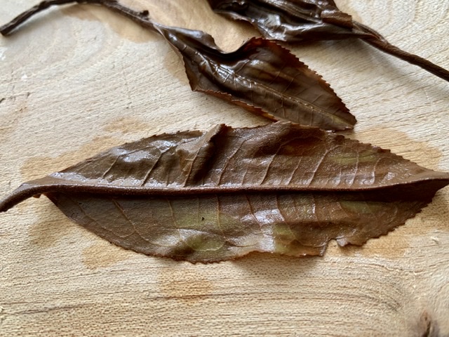 2020 Spring Yiwu 'Shaihong' Old Tree Assamica Black Tea