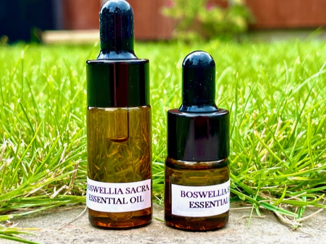 Two bottles of Boswellia sacra Oman Frankincense essential oil on the grass