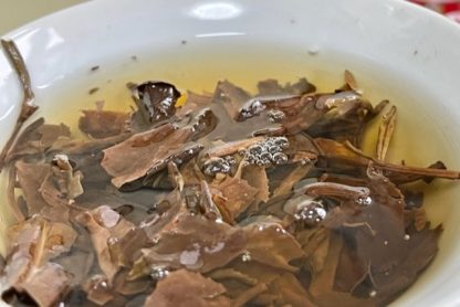A close-up of Chinese white tea leaves brewing in a bowl