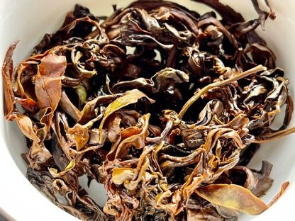 A close-up of Chinese Gushu black tea in a gaiwan on a table