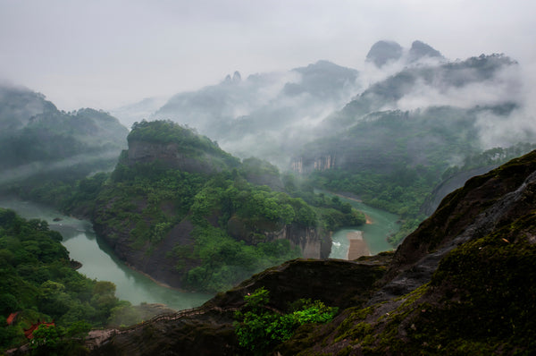 The view from a steep mountain side, looking down on tea fields in Wuyi, fujian province China